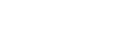 light logo
